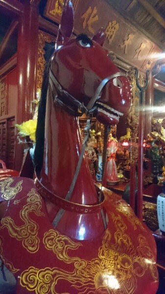 ... like this crazy looking horse!